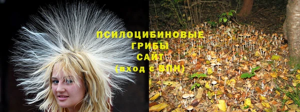 COCAINE Богородицк