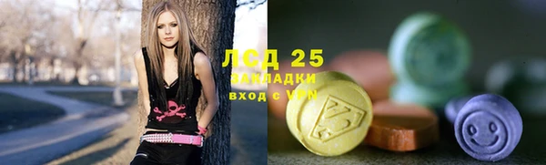 шишки Бородино