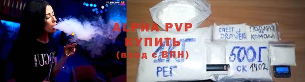 шишки Бородино