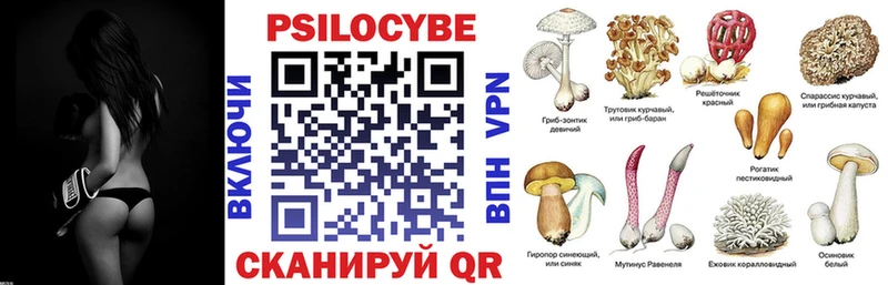 наркота  Берёзовка  Псилоцибиновые грибы мухоморы 